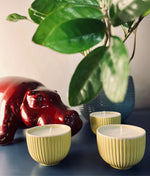 Urike Selection (le fresche e balsamiche)